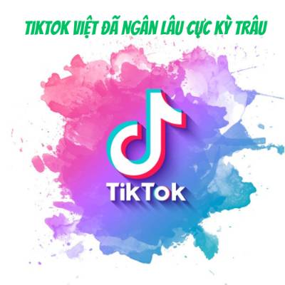 Tiktok Việt Đã Ngâm Lâu Cực Kỳ Trâu